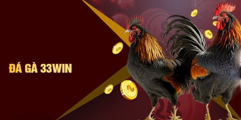 Đá Gà 33win – Khám Phá Chuyên Mục Hấp Dẫn Nhất Hiện Nay 